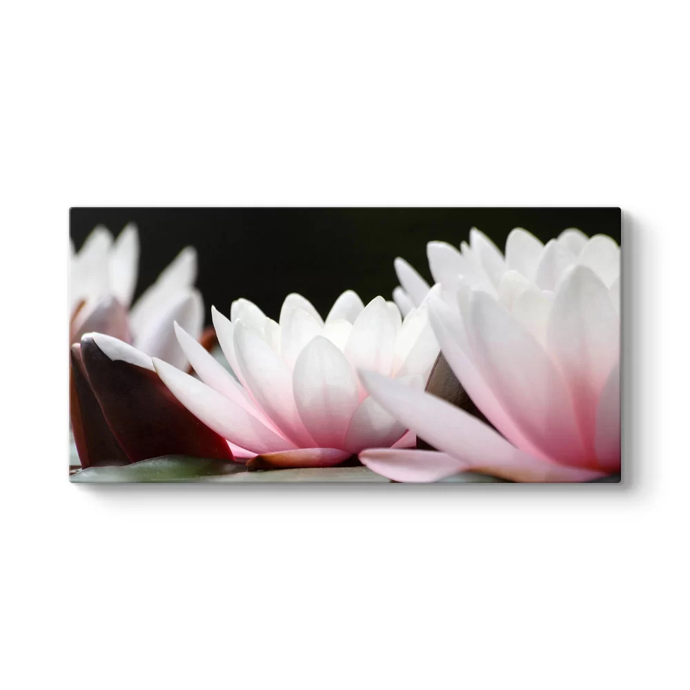 Lotus Panorama Tablosu - Model 5